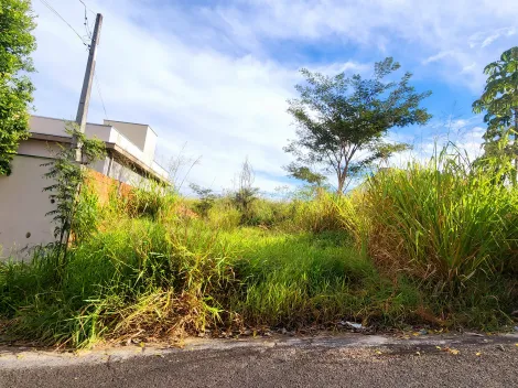 imagem 1 - Terreno - Padrão imagem 1 - Terreno - Padrão