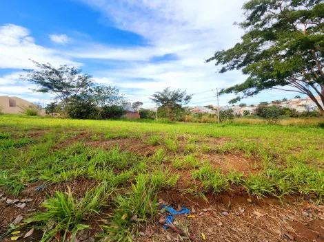 imagem 1 - Terreno - Padrão imagem 1 - Terreno - Padrão