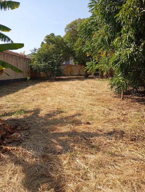 imagem 1 - Terreno/Padrão - Residencial - Comendador Mancor Daud imagem 1 - Terreno/Padrão - Residencial - Comendador Mancor Daud