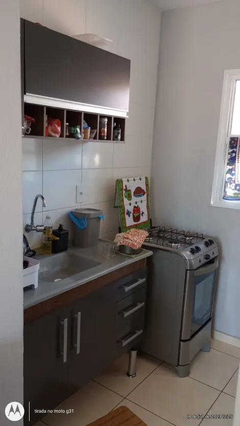 imagem 2 - Casa com  02 dormitórios, 02 vagas de garagem no bairro Jardim Aurora. imagem 2 - Casa com  02 dormitórios, 02 vagas de garagem no bairro Jardim Aurora.