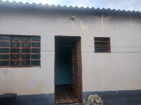 imagem 4 - Venda de Casa Residencial com edícula Solo Sagrado I imagem 4 - Venda de Casa Residencial com edícula Solo Sagrado I