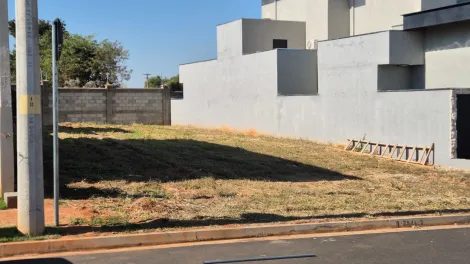 imagem 1 - Ótimo Terreno em Condomínio para Venda - 301m² / Quinta do Lago - Lac Léman imagem 1 - Ótimo Terreno em Condomínio para Venda - 301m² / Quinta do Lago - Lac Léman