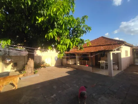 imagem 4 - Casa Com Edicula Venda Bom Jardim Zona Sul imagem 4 - Casa Com Edicula Venda Bom Jardim Zona Sul