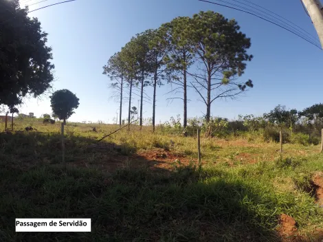 São José do Rio Preto - São Benedito da Capelinha (Zona Rural) - Terreno - Área - Venda