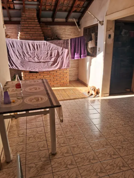 Casa / Padrão em São José do Rio Preto 