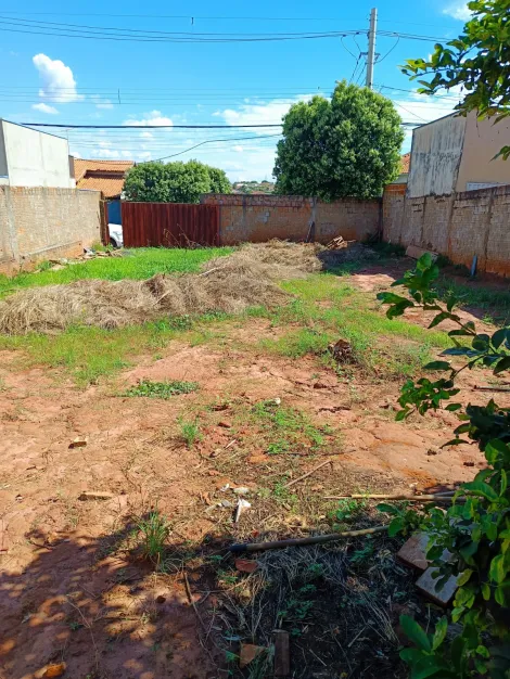 São José do Rio Preto - Jardim São Marco - Terreno - Padrão - Venda