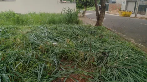 imagem 1 - Terreno Vila Nobre imagem 1 - Terreno Vila Nobre