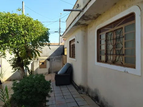 São José do Rio Preto - Vila Angélica - Casa - Padrão - Venda