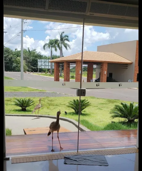 Comprar Casa / Condomínio em Bady Bassitt apenas R$ 1.300.000,00 - Foto 29