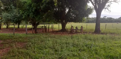 imagem 5 - Sitio em Ituiutaba Rio Da Prata/Salto imagem 5 - Sitio em Ituiutaba Rio Da Prata/Salto