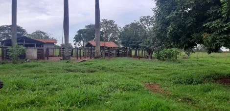 imagem 2 - Sitio em Ituiutaba Rio Da Prata/Salto imagem 2 - Sitio em Ituiutaba Rio Da Prata/Salto