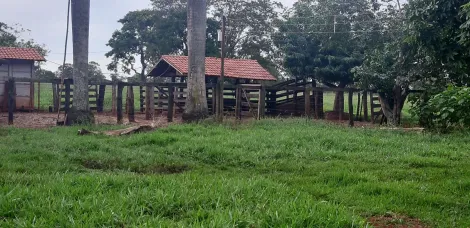imagem 3 - Sitio em Ituiutaba Rio Da Prata/Salto imagem 3 - Sitio em Ituiutaba Rio Da Prata/Salto