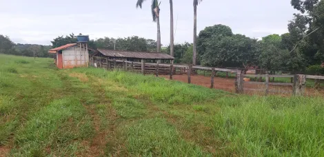 imagem 4 - Sitio em Ituiutaba Rio Da Prata/Salto imagem 4 - Sitio em Ituiutaba Rio Da Prata/Salto
