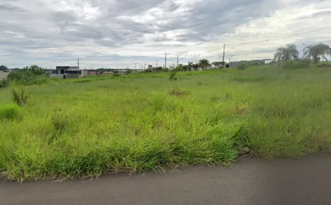 imagem 1 - Lote comercial com 360m² no Empresarial Spotti imagem 1 - Lote comercial com 360m² no Empresarial Spotti