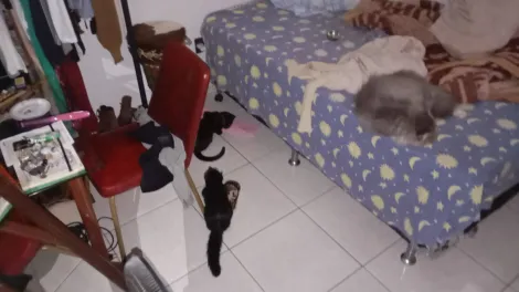 imagem 5 - Casa em condomínio em Pindorama imagem 5 - Casa em condomínio em Pindorama