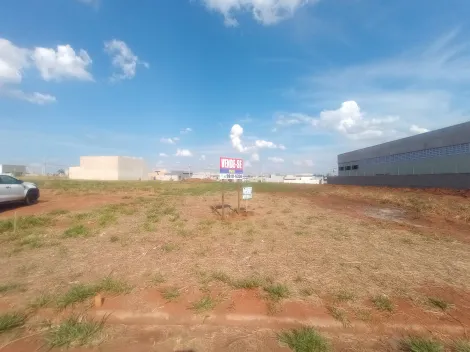 imagem 4 - Lotes Comerciais no Completo MaisParque totalizando 1.200 m² em frente a marginal imagem 4 - Lotes Comerciais no Completo MaisParque totalizando 1.200 m² em frente a marginal