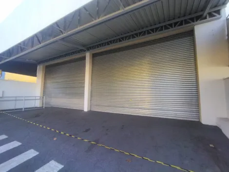 imagem 1 - Salão Comercial Locação Avenida Potirendaba Quinta das Paineiras imagem 1 - Salão Comercial Locação Avenida Potirendaba Quinta das Paineiras