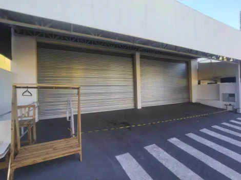 imagem 2 - Salão Comercial Locação Avenida Potirendaba Quinta das Paineiras imagem 2 - Salão Comercial Locação Avenida Potirendaba Quinta das Paineiras