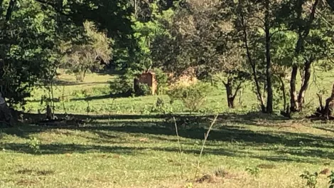 imagem 2 - Rural - Sítio imagem 2 - Rural - Sítio