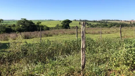 imagem 5 - Rural - Sítio imagem 5 - Rural - Sítio