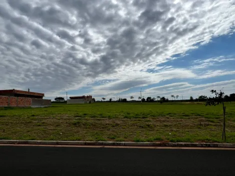 imagem 3 - Terreno de 405m2 no Botanic Residence imagem 3 - Terreno de 405m2 no Botanic Residence