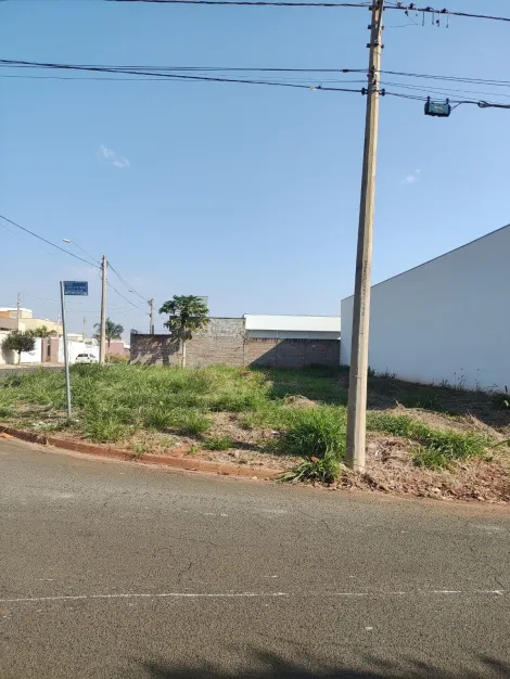 imagem 4 - Terreno Comercial no bairro Menezes II imagem 4 - Terreno Comercial no bairro Menezes II