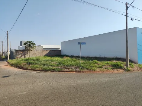 imagem 2 - Terreno Comercial no bairro Menezes II imagem 2 - Terreno Comercial no bairro Menezes II