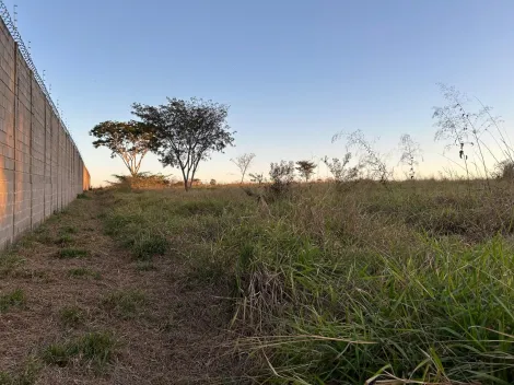 imagem 3 - Chácara de 5200 m2, sem benfeitoria, Engenheiro Schmitt, Estância Bela Vista, excelente localização imagem 3 - Chácara de 5200 m2, sem benfeitoria, Engenheiro Schmitt, Estância Bela Vista, excelente localização