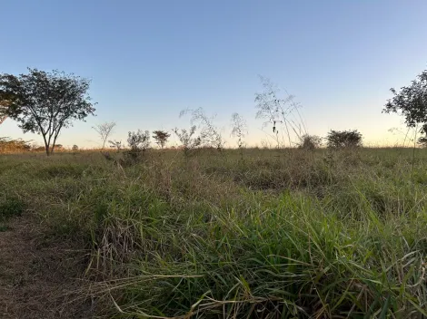 imagem 4 - Chácara de 5200 m2, sem benfeitoria, Engenheiro Schmitt, Estância Bela Vista, excelente localização imagem 4 - Chácara de 5200 m2, sem benfeitoria, Engenheiro Schmitt, Estância Bela Vista, excelente localização