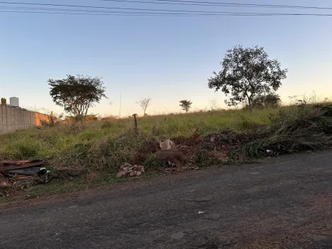 imagem 5 - Chácara de 5200 m2, sem benfeitoria, Engenheiro Schmitt, Estância Bela Vista, excelente localização imagem 5 - Chácara de 5200 m2, sem benfeitoria, Engenheiro Schmitt, Estância Bela Vista, excelente localização