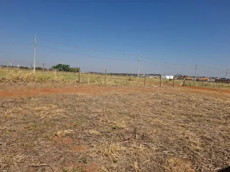 imagem 1 - Excelente Terreno Residencial para Venda - 315m² / Eville Bady Bassitt imagem 1 - Excelente Terreno Residencial para Venda - 315m² / Eville Bady Bassitt