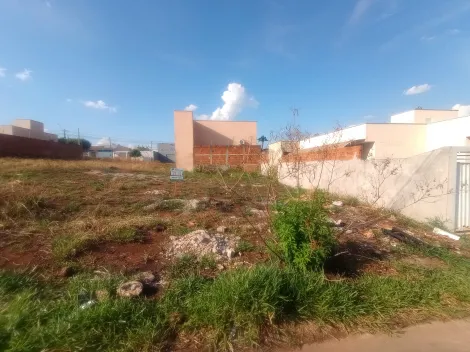 imagem 1 - Terreno - Padrão imagem 1 - Terreno - Padrão