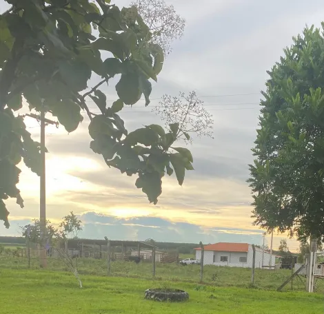 imagem 2 - Chacara a venda - 1 alqueire imagem 2 - Chacara a venda - 1 alqueire
