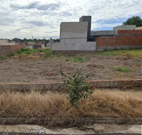 imagem 1 - Excelente lote à venda imagem 1 - Excelente lote à venda
