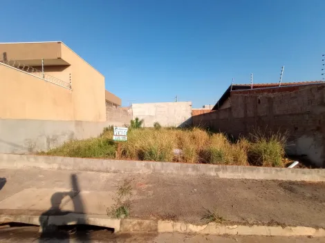 imagem 2 - Excelente lote à venda imagem 2 - Excelente lote à venda