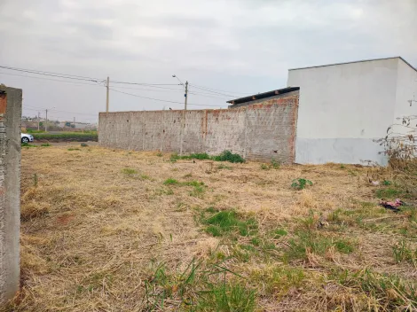 imagem 1 - VENDE TERRENO ESTRELA DO ORIENTE  - BADY BASSIT imagem 1 - VENDE TERRENO ESTRELA DO ORIENTE  - BADY BASSIT