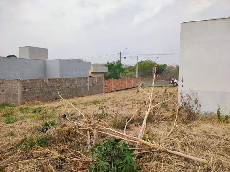 imagem 2 - VENDE TERRENO ESTRELA DO ORIENTE  - BADY BASSIT imagem 2 - VENDE TERRENO ESTRELA DO ORIENTE  - BADY BASSIT