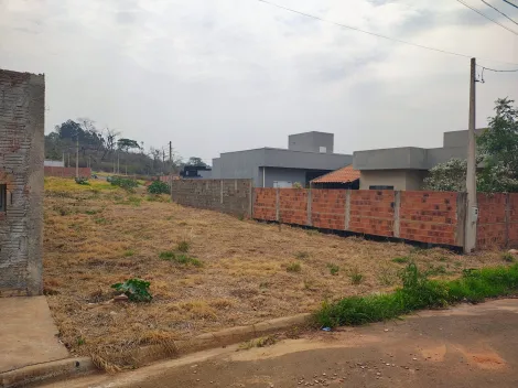 imagem 3 - VENDE TERRENO ESTRELA DO ORIENTE  - BADY BASSIT imagem 3 - VENDE TERRENO ESTRELA DO ORIENTE  - BADY BASSIT