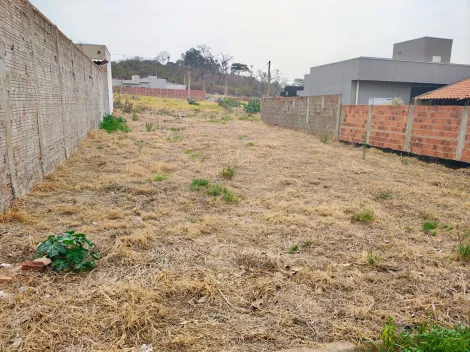 imagem 4 - VENDE TERRENO ESTRELA DO ORIENTE  - BADY BASSIT imagem 4 - VENDE TERRENO ESTRELA DO ORIENTE  - BADY BASSIT