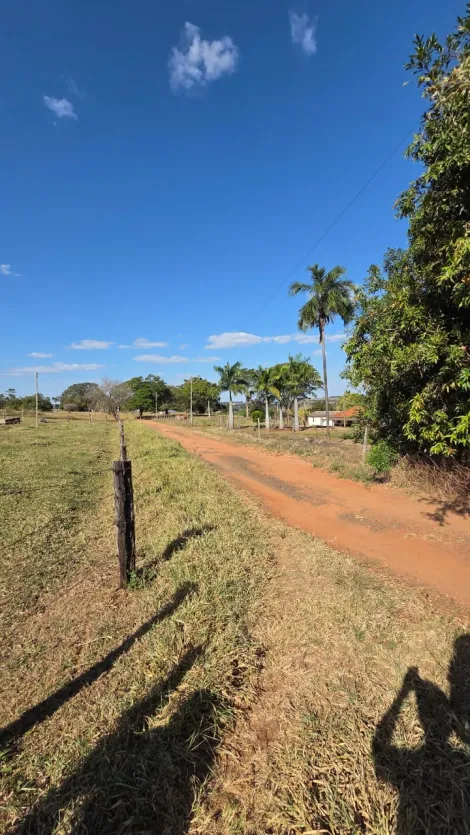 imagem 2 - Sítio à Venda - 4,5 Alqueires em Fernandópolis-SP imagem 2 - Sítio à Venda - 4,5 Alqueires em Fernandópolis-SP