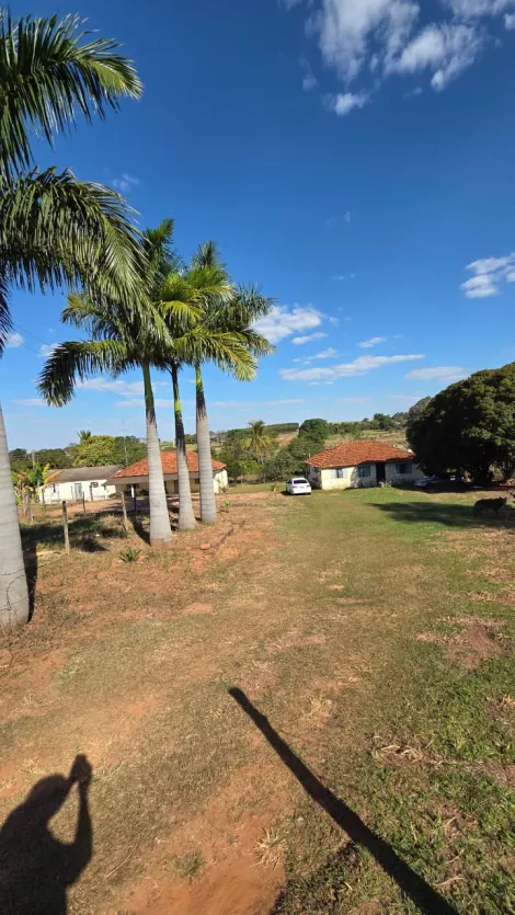 imagem 4 - Sítio à Venda - 4,5 Alqueires em Fernandópolis-SP imagem 4 - Sítio à Venda - 4,5 Alqueires em Fernandópolis-SP