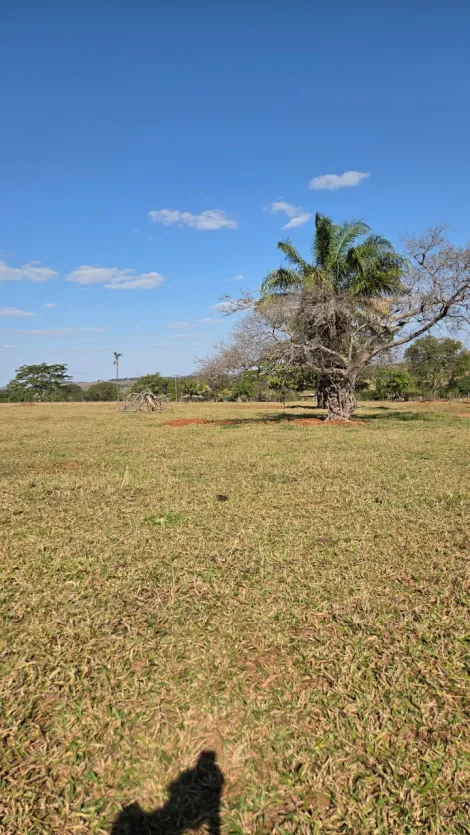 imagem 5 - Sítio à Venda - 4,5 Alqueires em Fernandópolis-SP imagem 5 - Sítio à Venda - 4,5 Alqueires em Fernandópolis-SP