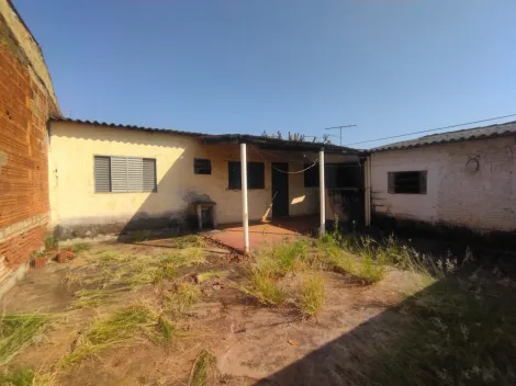imagem 4 - Terreno Residencial ou Comercial Venda São Francisco Zona Sul imagem 4 - Terreno Residencial ou Comercial Venda São Francisco Zona Sul