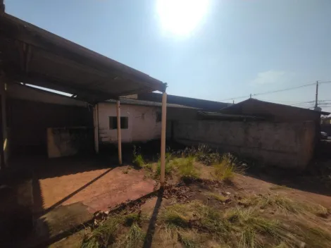 imagem 5 - Terreno Residencial ou Comercial Venda São Francisco Zona Sul imagem 5 - Terreno Residencial ou Comercial Venda São Francisco Zona Sul