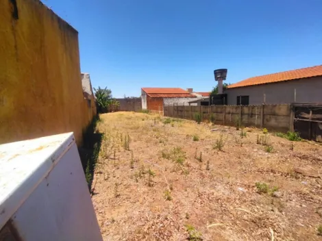 imagem 4 - Terreno Residencial Venda Jardim Alto Rio Preto imagem 4 - Terreno Residencial Venda Jardim Alto Rio Preto