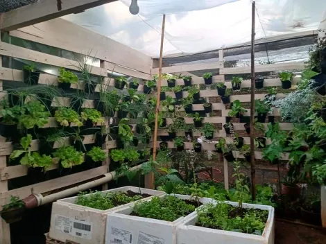 imagem 3 - Condomínio de Chácaras Morada do Sol - Chácara Venda e Locação imagem 3 - Condomínio de Chácaras Morada do Sol - Chácara Venda e Locação