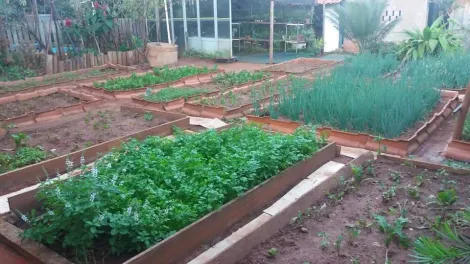 imagem 4 - Condomínio de Chácaras Morada do Sol - Chácara Venda e Locação imagem 4 - Condomínio de Chácaras Morada do Sol - Chácara Venda e Locação