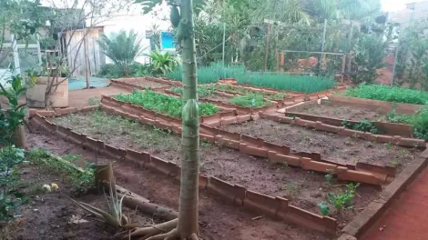 imagem 5 - Condomínio de Chácaras Morada do Sol - Chácara Venda e Locação imagem 5 - Condomínio de Chácaras Morada do Sol - Chácara Venda e Locação