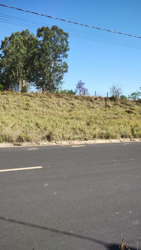 imagem 3 - Terreno - Padrão imagem 3 - Terreno - Padrão